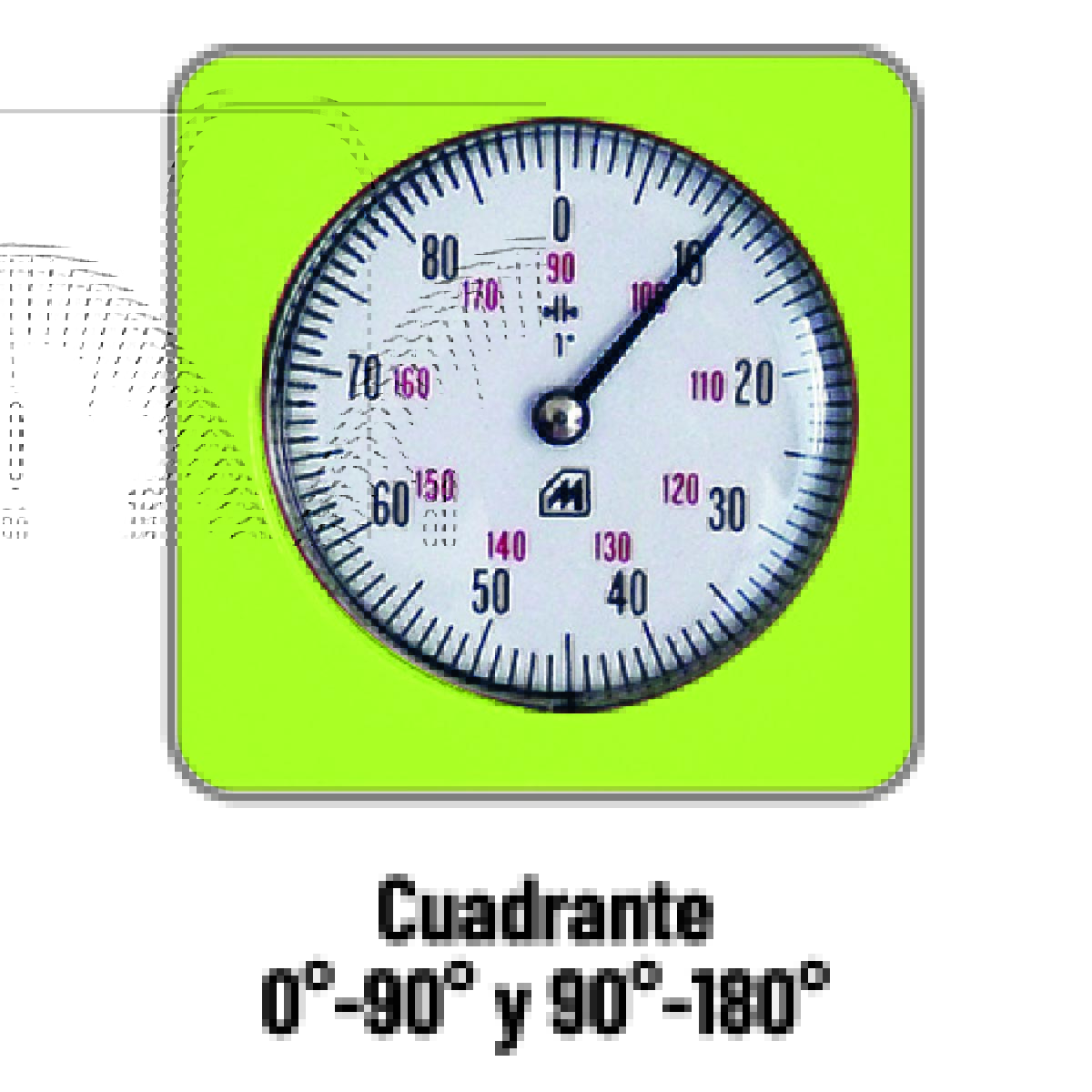 29900_5_es