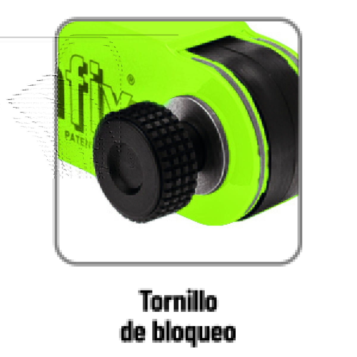 29900_6_es